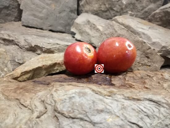 Akers Red Heart Tomato