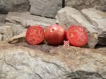 Akers Red Heart Tomato Heirloom Tomatoes