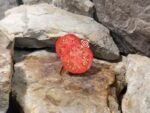 Akers Red Heart Tomato Seeds