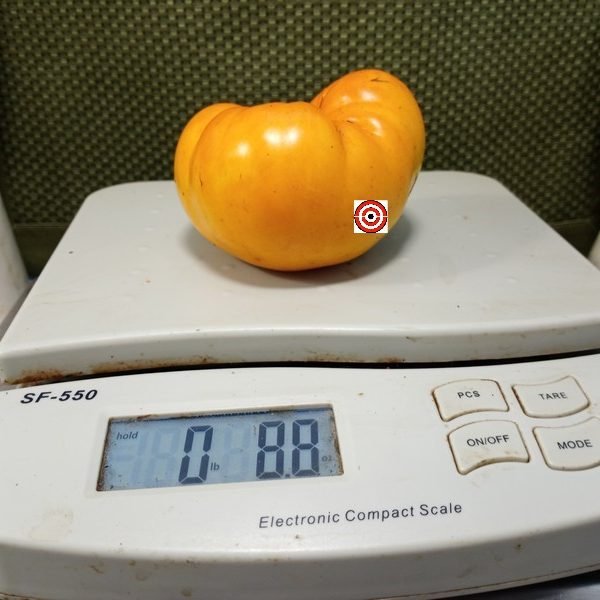 Allen Family Heirloom Tomato