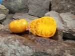 Allen Family Heirloom Tomato Beefsteak Tomatoes