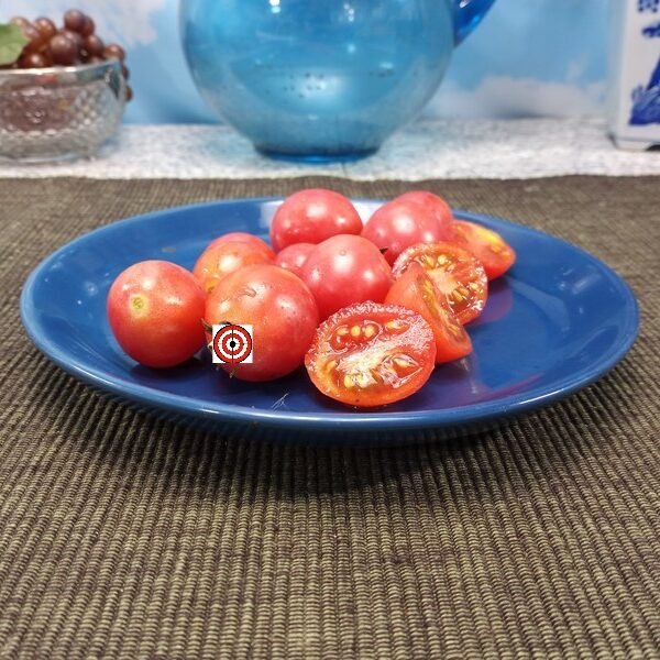 Am Multiflora Tomato
