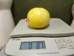 Amazing Yellow Tomato