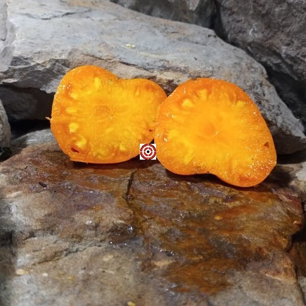 Angel Heart Tomato