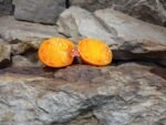 Angel Heart Orange Tomato Tomatoes