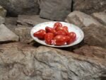 Austin's Red Pear Tomato Heirloom Tomatoes
