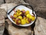 Awesome Emma Tomato Seeds