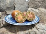Banded Amazon Tomato Rare Tomatoes