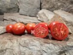 Belle Angevine Tomato