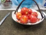 Bendigo Rose Dwarf Tomato Container Tomatoes.