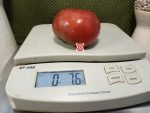 Big Cheef PL Tomato Beefsteak Tomato