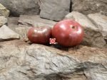 Big Cheef Tomato Seeds