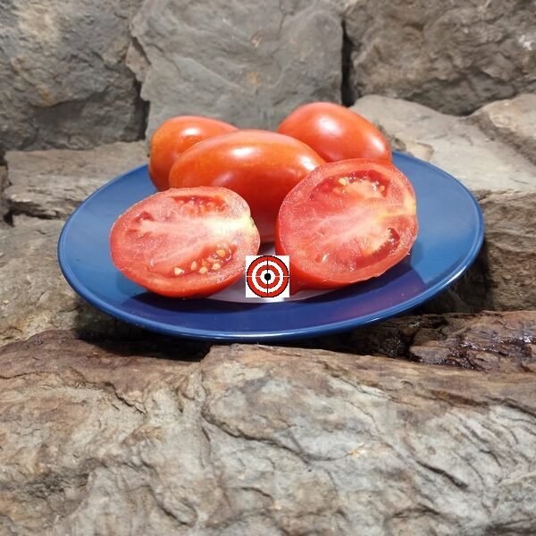 Big Momma F2 Tomato