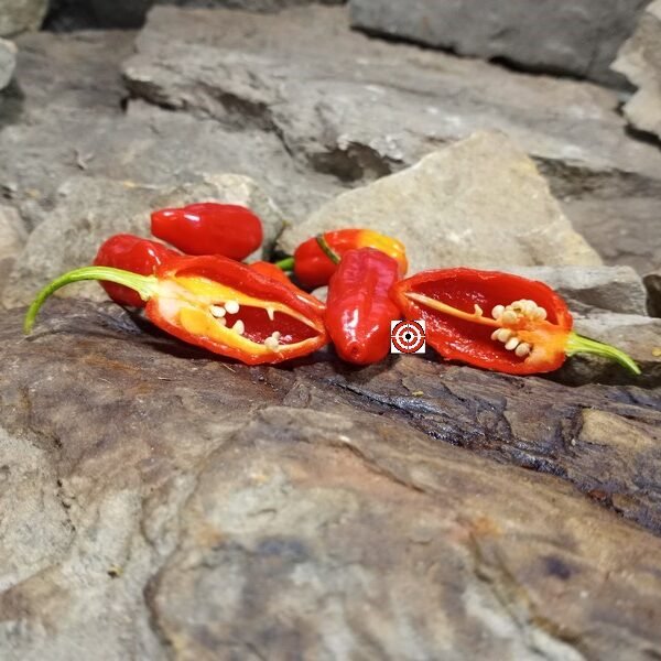 Billy Goat Pepper