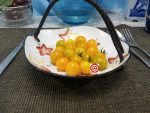 Bioramrisha Og Tomate Tomato - Image 4