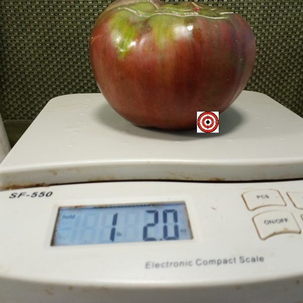Black Oxheart Tomato