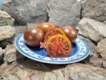 Black Prince Tomato
