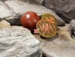 Black Prince Tomato Seeds