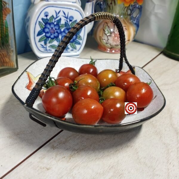 Blackie Cherry Tomato