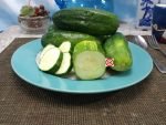 Boston Pickling Cucumber - Image 2