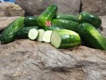 Boston Pickling Cucumber - Image 3