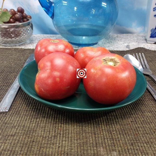Bradley Tomato