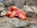 Budenovka Tomato Heirloom Tomato