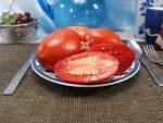 Budenovka Tomato Sauce Tomato