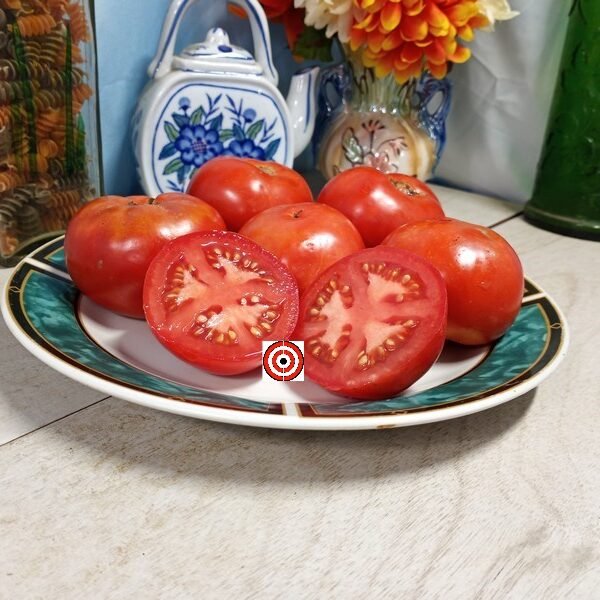 Bulgarian Triumph Tomato