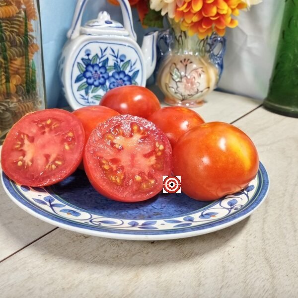 Burbank Tomato