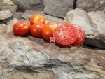 Burbank Tomato Seeds