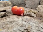 Chocmande Tomato