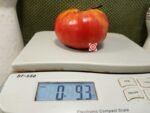 Chocmande Tomato - Image 2