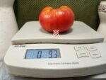 Chocmande Tomato - Image 3