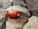 Chocmande Tomato - Image 4