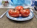 Dwarf Chocolate Champion Tomato