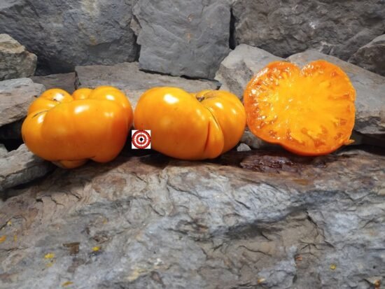 Chuck's Yellow Beefsteak Tomato