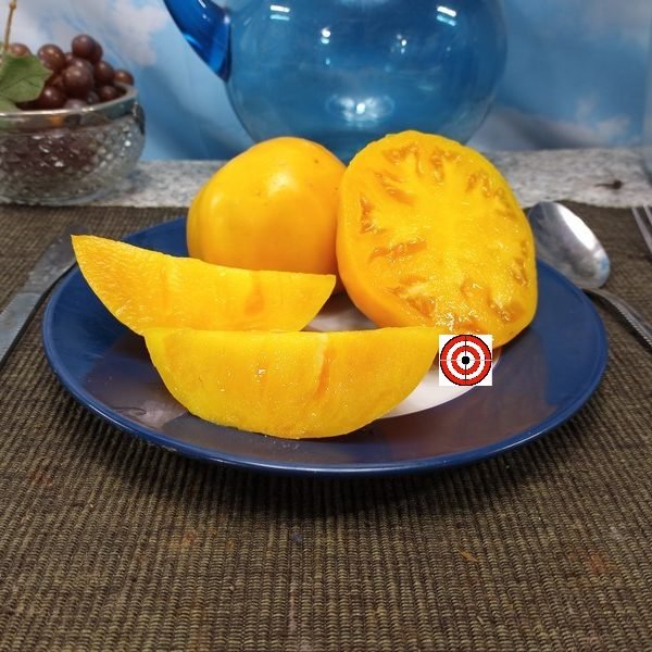 Claude Brown's Yellow Giant Tomato