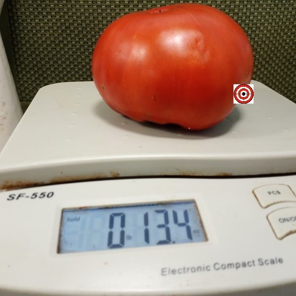 Cody Pink Tomato