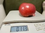 Cody Pink Tomato - Image 3