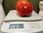 Collier De Travrue Tomato Giant Tomatoes
