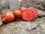 Collier De Travrue Tomato Heirloom