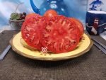 Collier De Travrue Tomato Rare Tomatoes