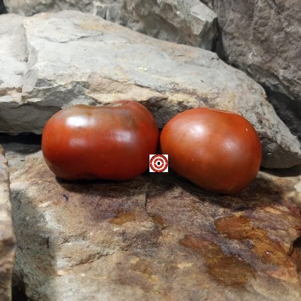 Copper Pipe Tomato