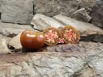 Copper Pipe Tomato Rare Tomatoes