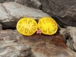 Coral Queen Tomato Yellow Tomatoes