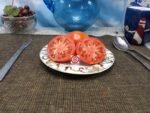 Crimean Red Tomato Rare Tomatoes