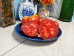 Cuyano Tomato