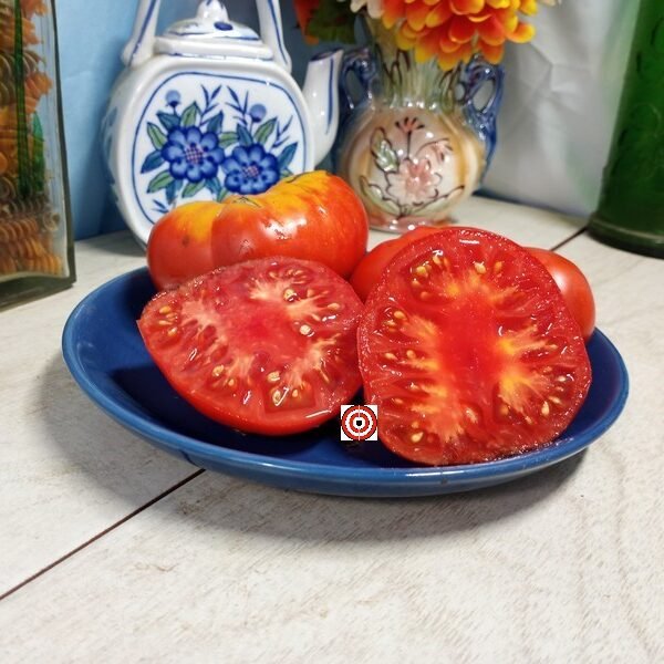 Cuyano Tomato