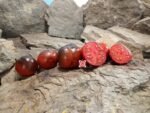Dark Lord Tomato Antho Tomatoes